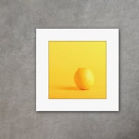 027-レモン- 災害用トイレ5回分入 -
