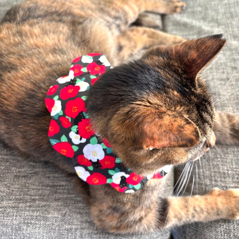 neco neco スタイ🍓いちご | megumix