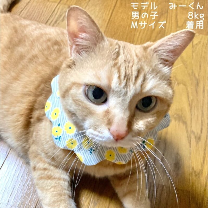 neco neco スタイ🎄クリスマス 白さんかくサンタ | megumix