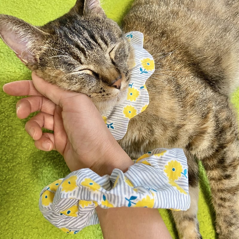 ヒルナンデスで紹介されました】neco neco スタイ お花柄 水色 | megumix