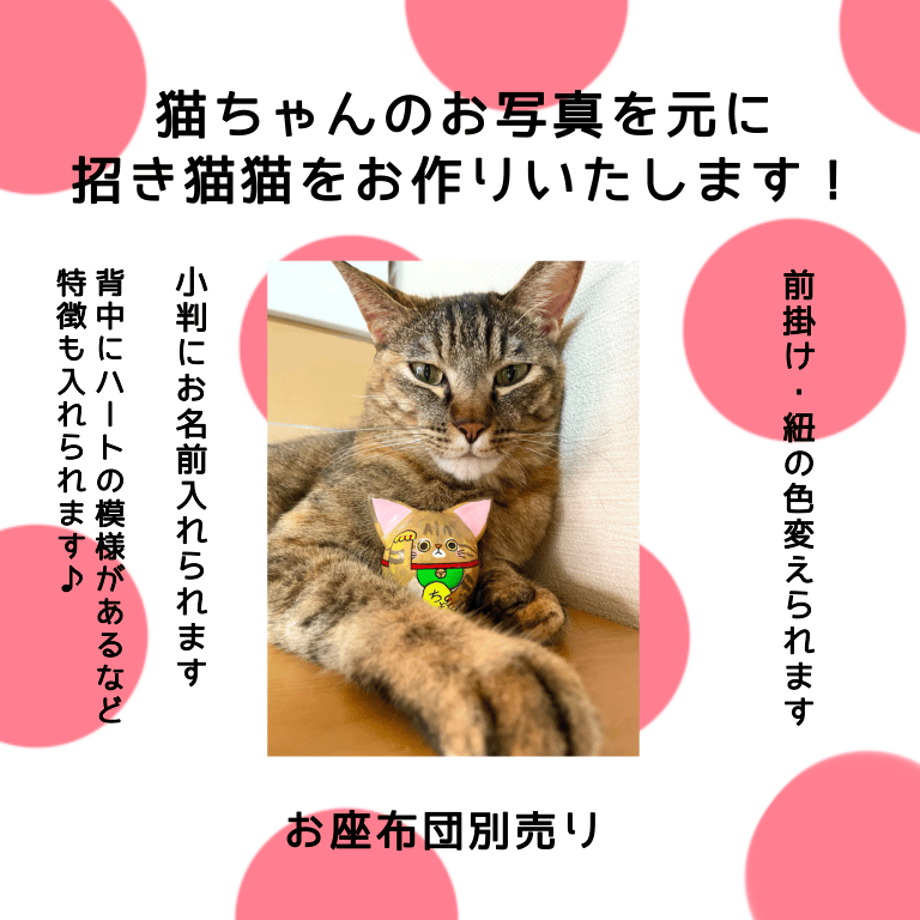 65bf767a191a4b0aa6a335fd