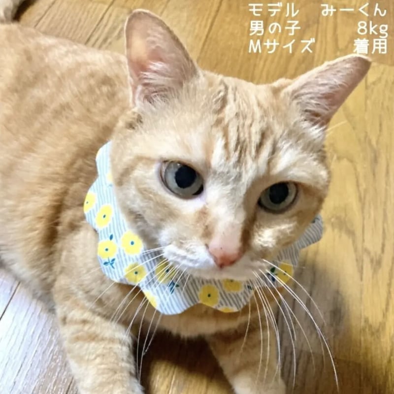 nico×hana shop..neco様 リクエスト 5点 まとめ商品 nico×hana shop..neco様 リクエスト 5点 まとめ商品