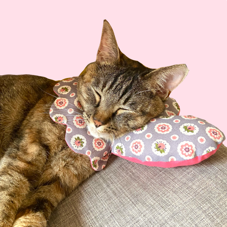 neco neco スタイ | megumix