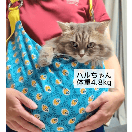 猫猫バッグ  インドプリント🩵お花【普通・BIGサイズ】受注制作