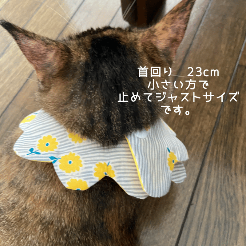 ＊ねこちゃんスタイ＊ m090_01.jpg