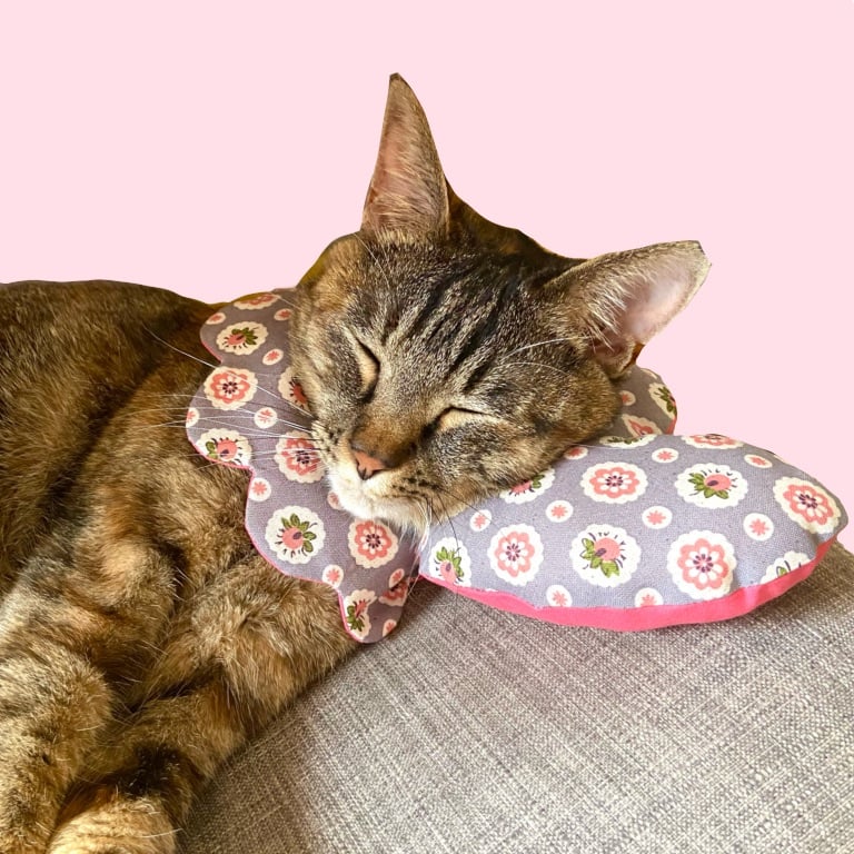 猫ちゃんの足　(奇跡のハート) I was sleeping and my testicles were destroyed by a powerful