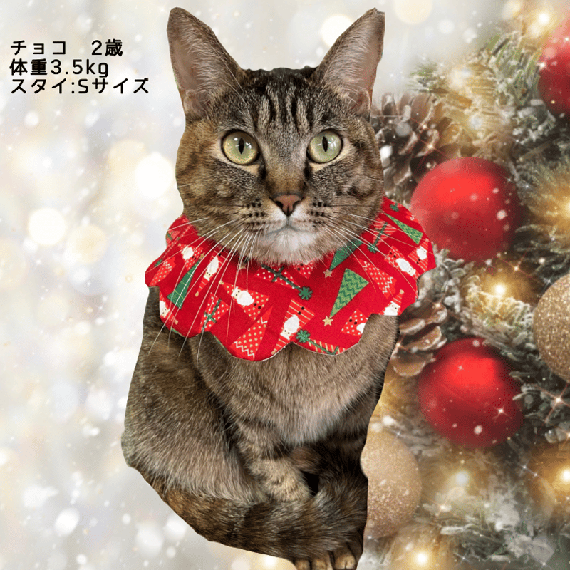 クリスマス(赤②)わんちゃん猫ちゃん用首輪-