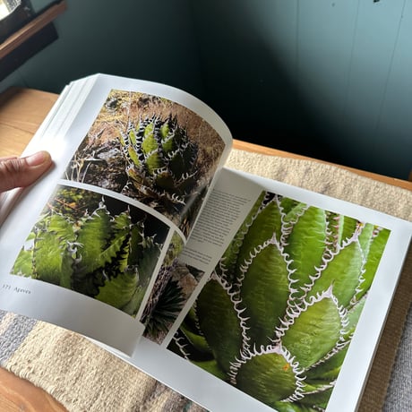 Agaves  写真集