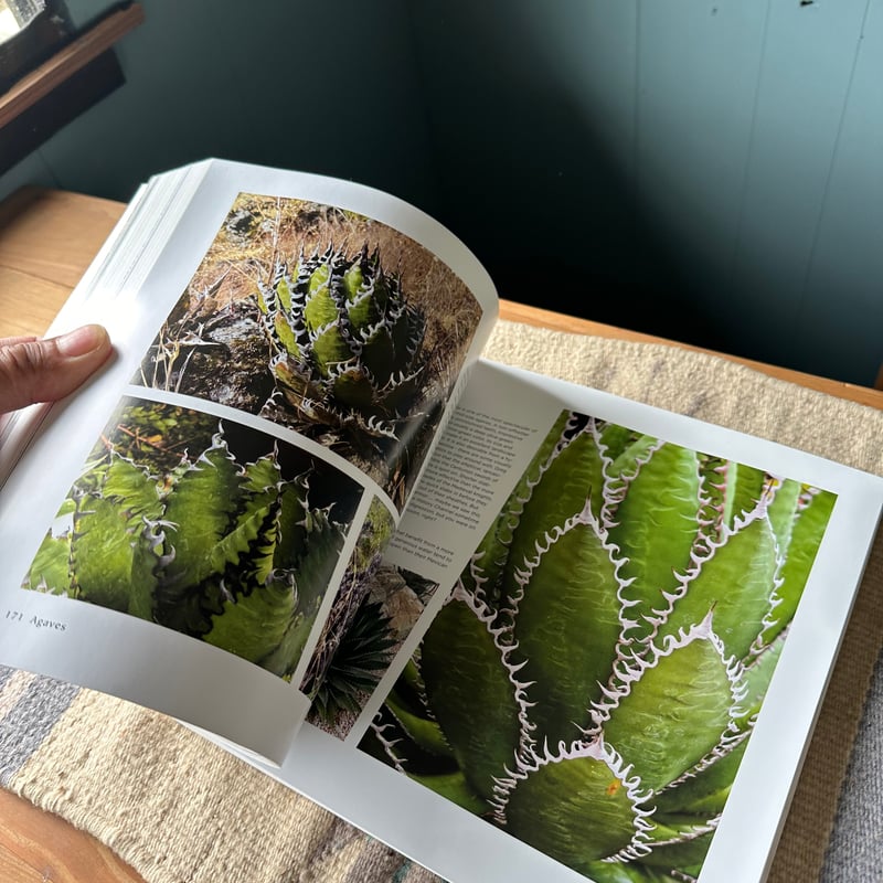 Agaves 写真集 | doopsplants