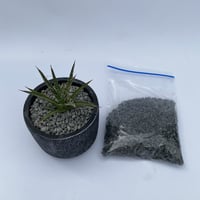 化粧砂利　黒