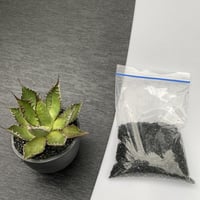 化粧砂　細粒　ブラック