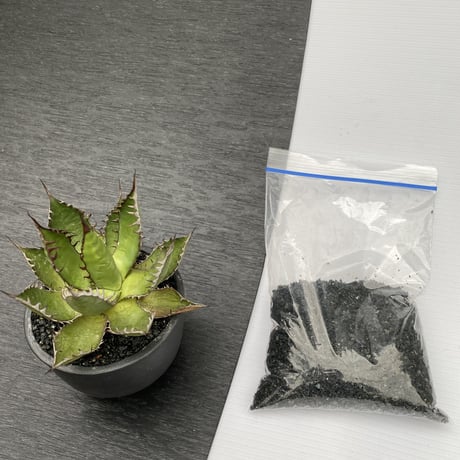 化粧砂　細粒　ブラック