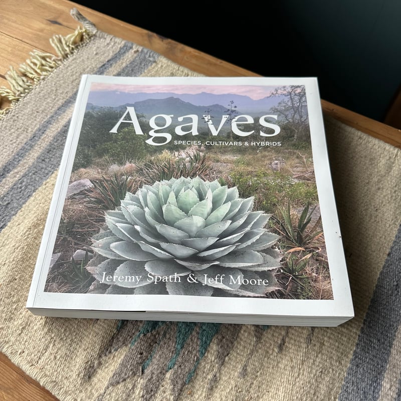 Agaves 写真集 | doopsplants