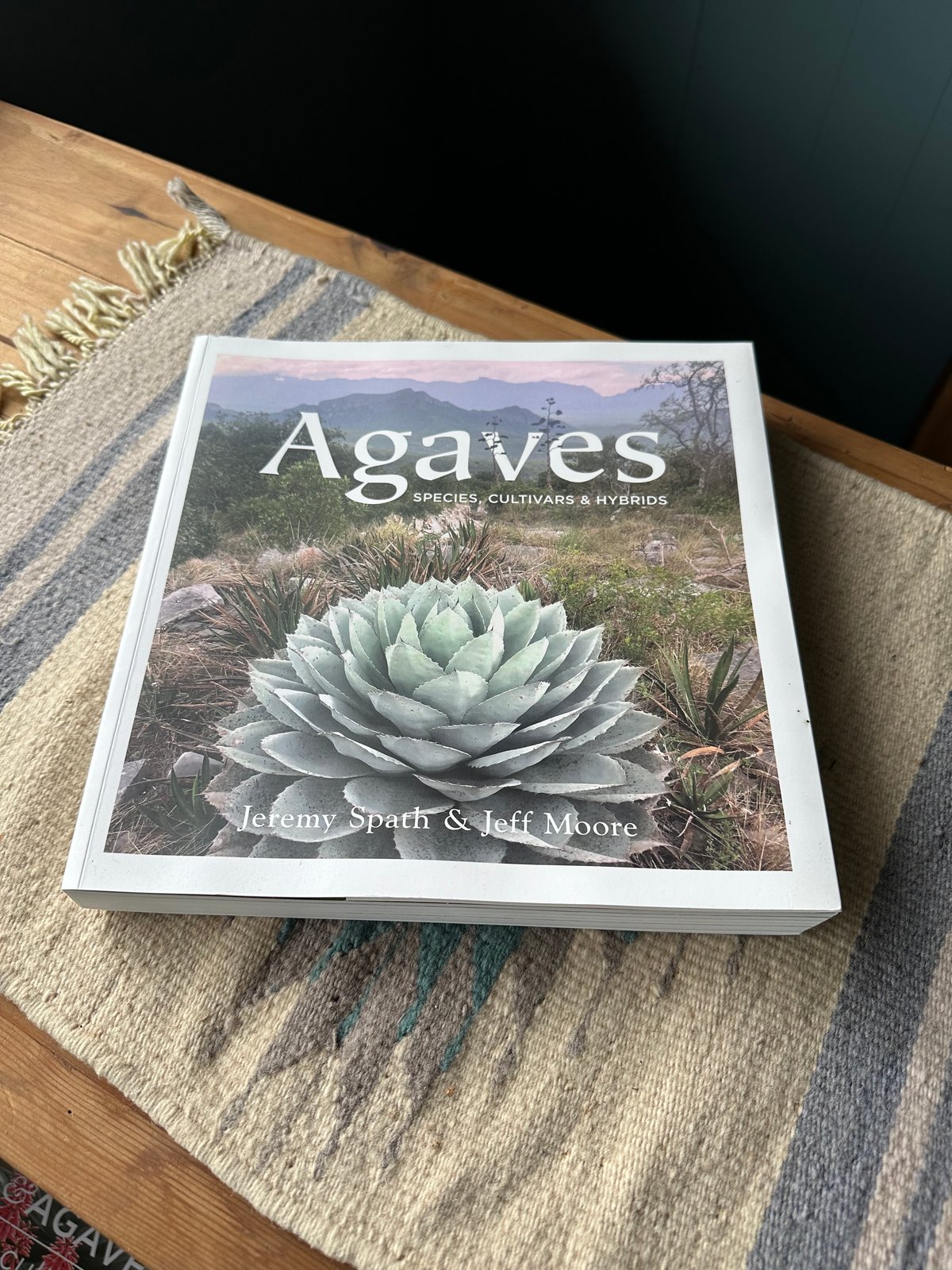 Agaves 写真集 | doopsplants Agaves 写真集 | doopsplants