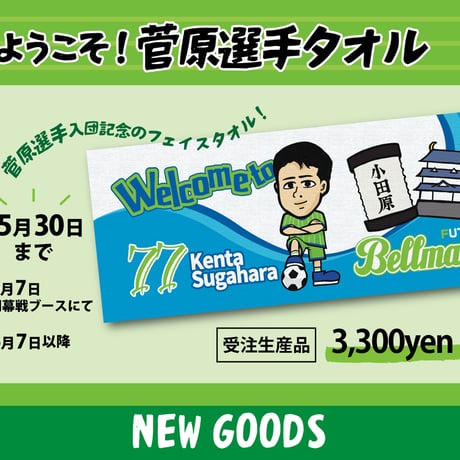 湘南ベルマーレ Fリーグ フットサル 支給品 中綿 ジャケット アウター 非売品 湘南ベルマーレ Fリーグ フットサル 支給品 中綿 ジャケット