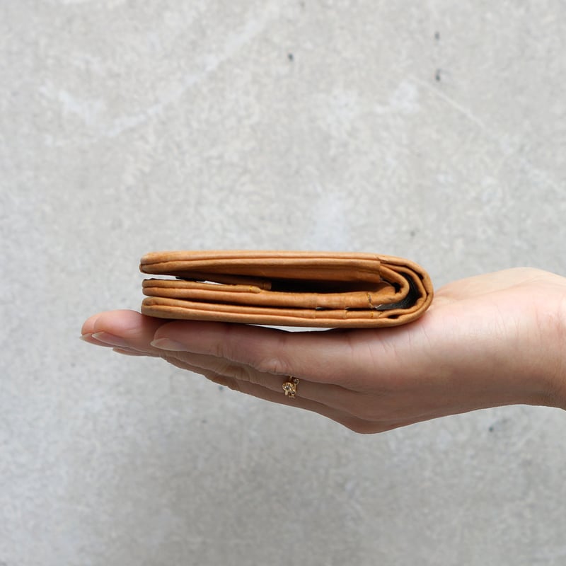 フォレオルナ DOALL｜ALGERNON FENICE X