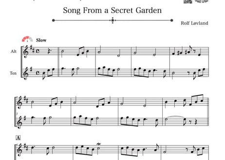 ♫楽譜「Song From a Secret Garden」アルトサックス＆テナーサックス二重奏［MM3］