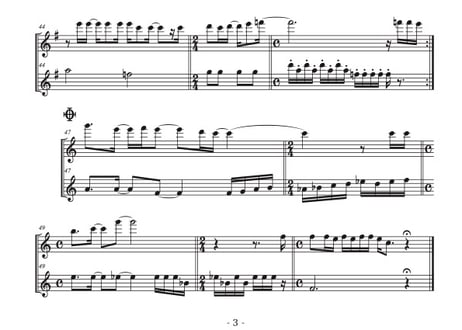 「レット・イット・ゴー～ありのままで～」フルート二重奏[MM4］