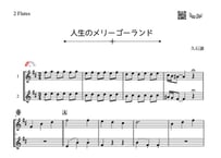 やさしめ^^「人生のメリーゴーランド」フルート二重奏［MM2］
