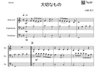 やさしめ^^【三重奏】「大切なもの」ホルン＆トロンボーン＆ユーフォニアム三重奏