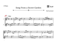 ♫楽譜「Song From a Secret Garden」フルート二重奏［MM3.3］