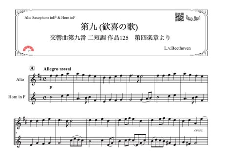 CATEGORY 第九 | DuoDuo【二重奏楽譜専門店】