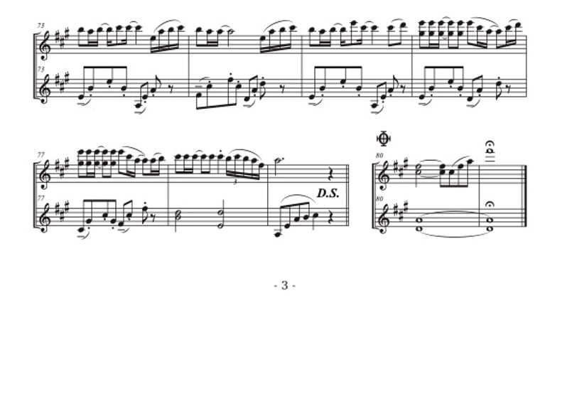 プロ用⚠️激ムズ】「Summer」バイオリン二重奏 | DuoDuo