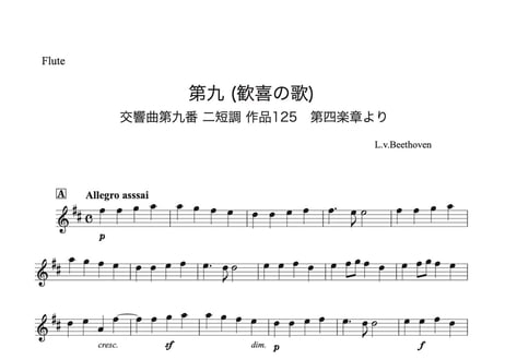 「第九（歓喜の歌）Long Ver.」フルート＆クラリネット二重奏［MM5]パート譜付き【wakopアレンジ】