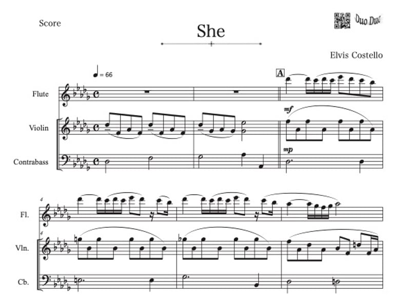 三重奏】「She」フルート＆バイオリン＆コントラバス三重奏 | DuoDuo