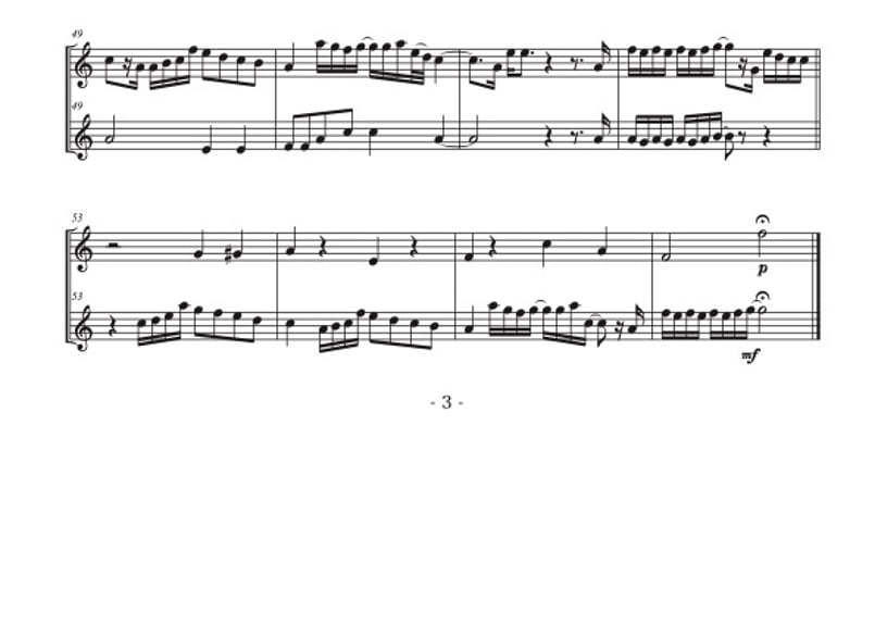 やさしめ^^「僕らまた」ソプラノリコーダー二重奏 | DuoDuo【二重奏