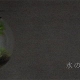 水の音