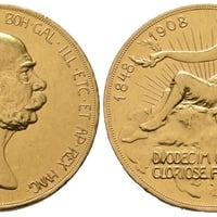 1920年 チェコスロバキア 100コルン紙幣 | フルールドコワン 横浜