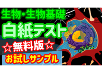 ☆無料版☆白紙テスト【生物基礎】