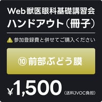 ⑩ 前部ぶどう膜（冊子）