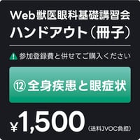 ⑫ 全身疾患と眼症状（冊子）