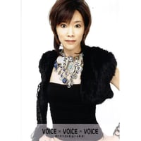 2011年　VOICE VOICE VOICE【生写真3枚セットA】