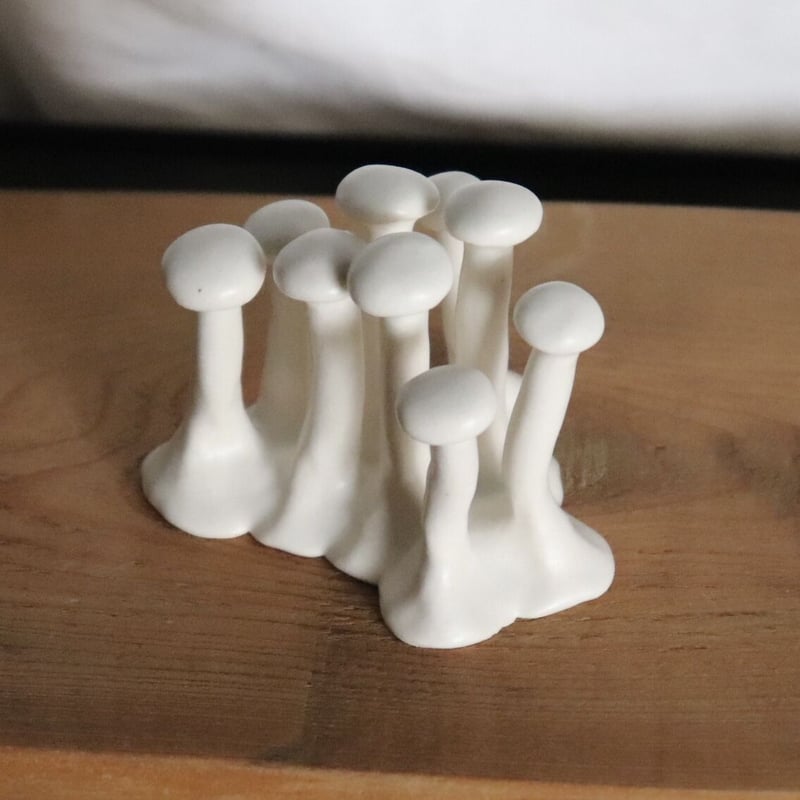 きのこページ タケノコノコ on X