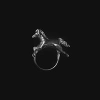 RING｜SR-126｜26SS Horse Line