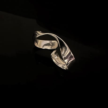 RING｜  SR-91｜depth