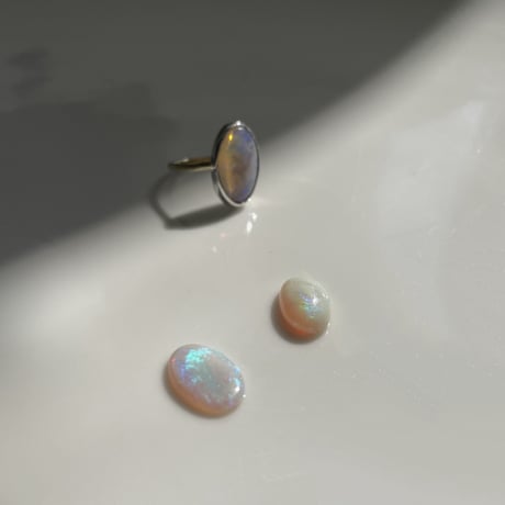 CATEGORY limited collection | AGU