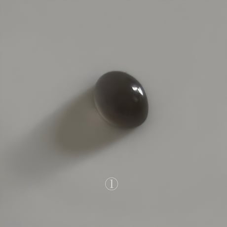 RING｜SR-105｜23AW