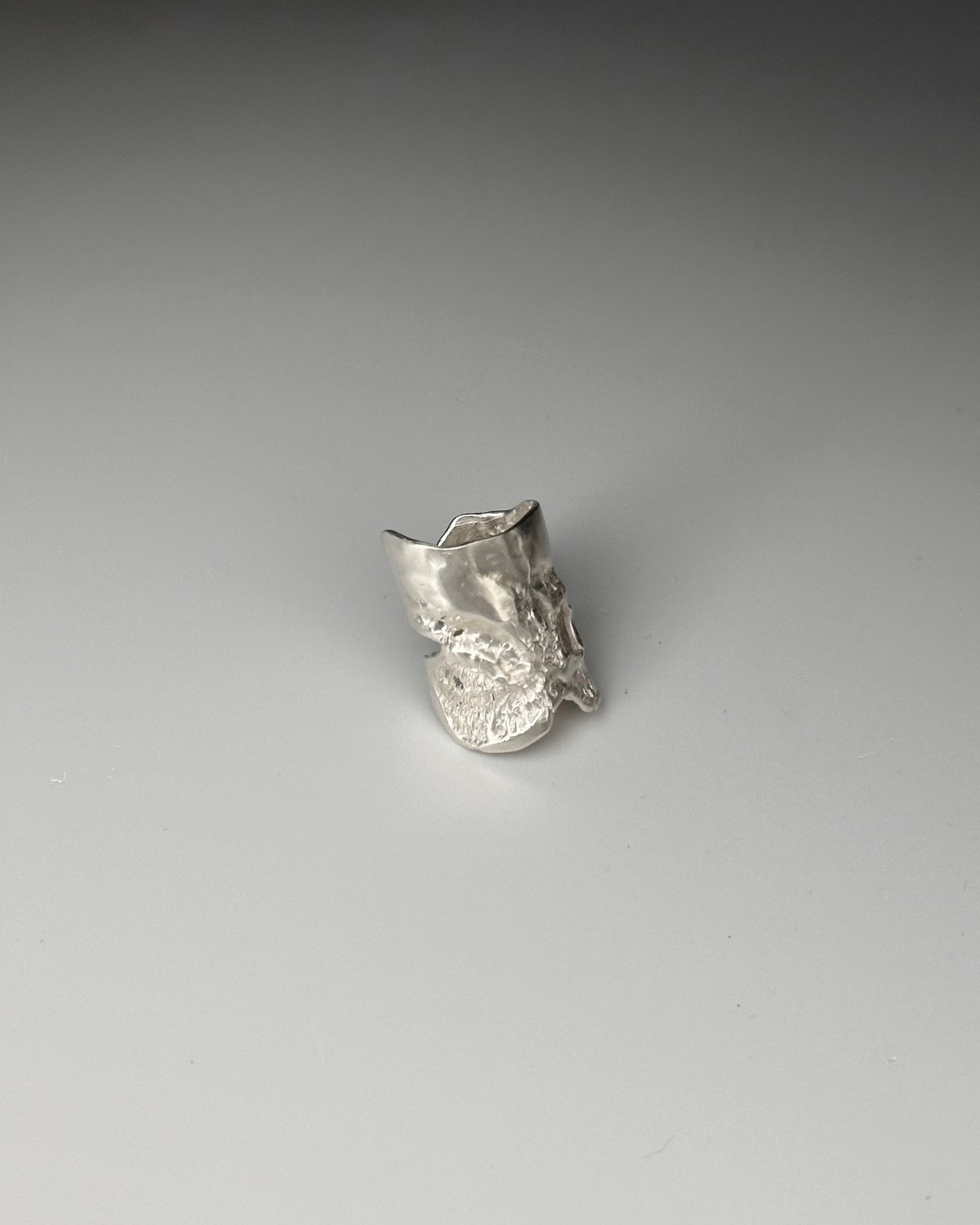 RING｜SR-122｜25AW | AGU