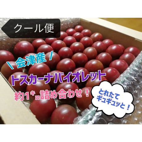 プチトマト様 Yahoo!オークション -「プチトマト」(花、園芸) の落札相場