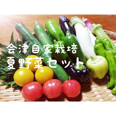 厳選夏野菜詰め合わせセット　宅急便コンパクト