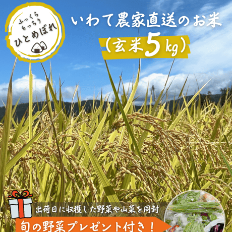 【10月31日まで】玄米5㎏＋旬の野菜プレゼント付き！（岩手産ひとめぼれ5㎏）