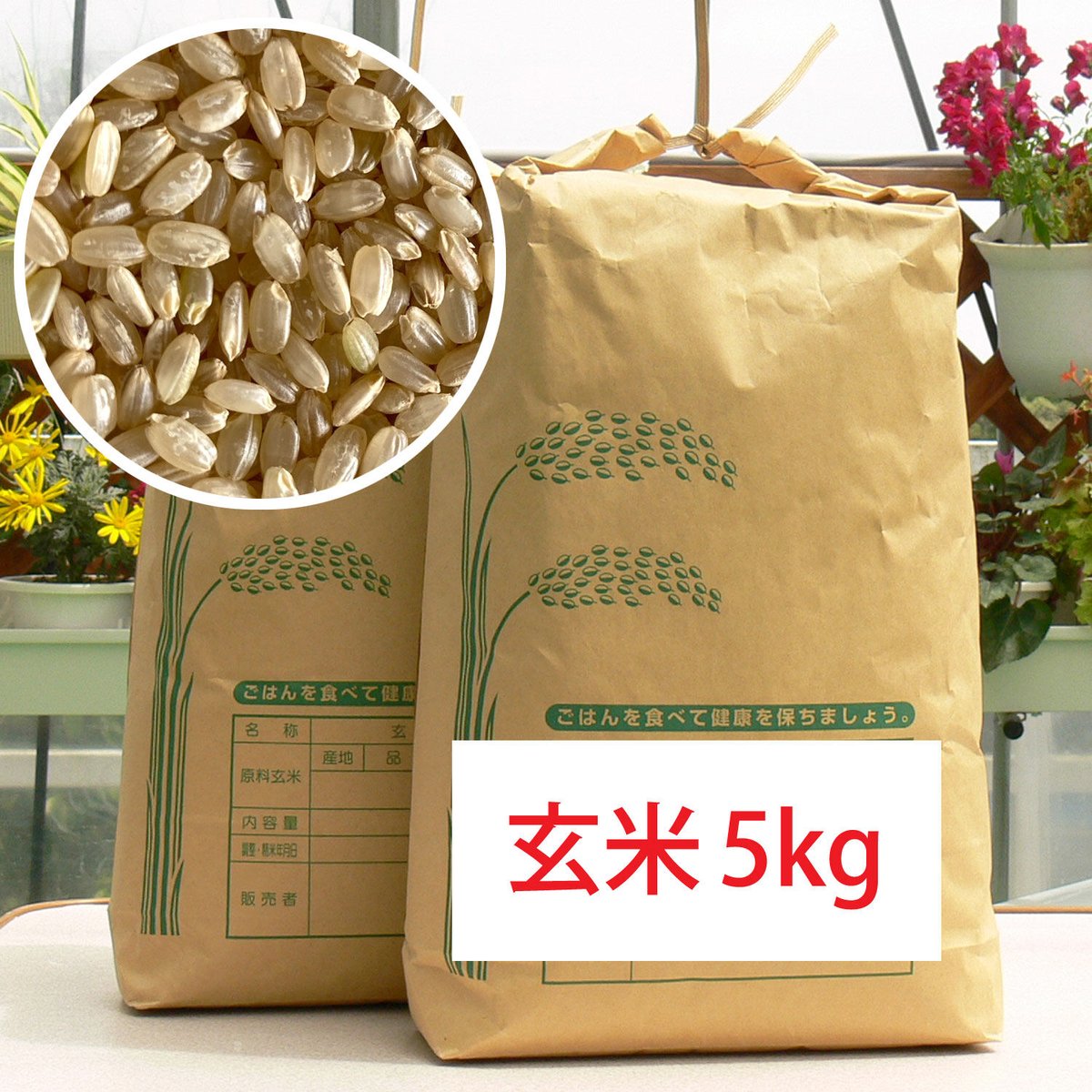 S　米ヒノヒカリ ファームランドのお米（ヒノヒカリ）玄米5kg 1個 | farmland
