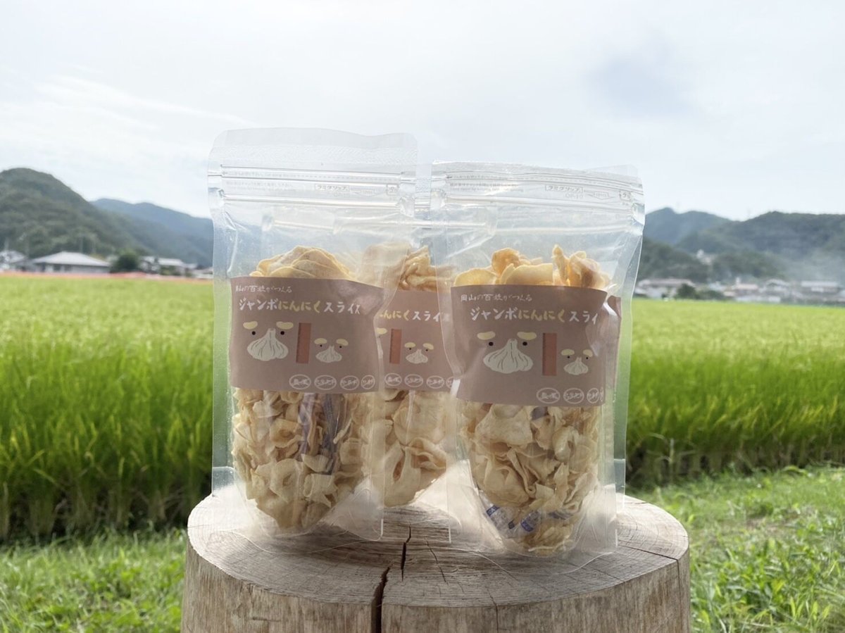 【岡山産】ジャンボニンニク　香り・栄養満点　10キロ　梱包資材込み　令和7 岡山産ジャンボにんにく - いきいきファーム