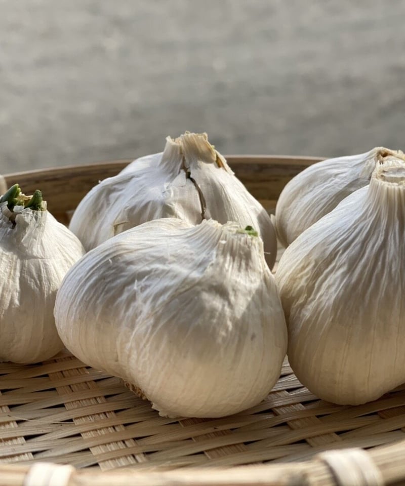 岡山産】ジャンボニンニク香り・栄養満点6キロ梱包資材込み令和7