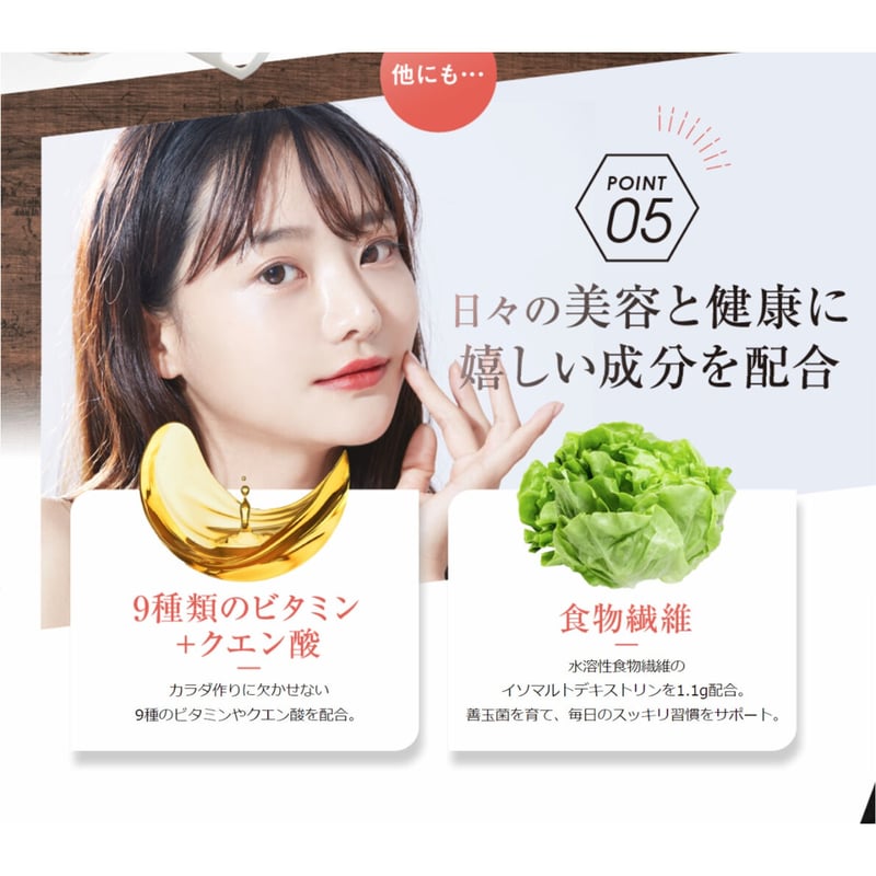 大和酵素 インナーデザインソイプロテイン ココア味 15食分 | 日の丸