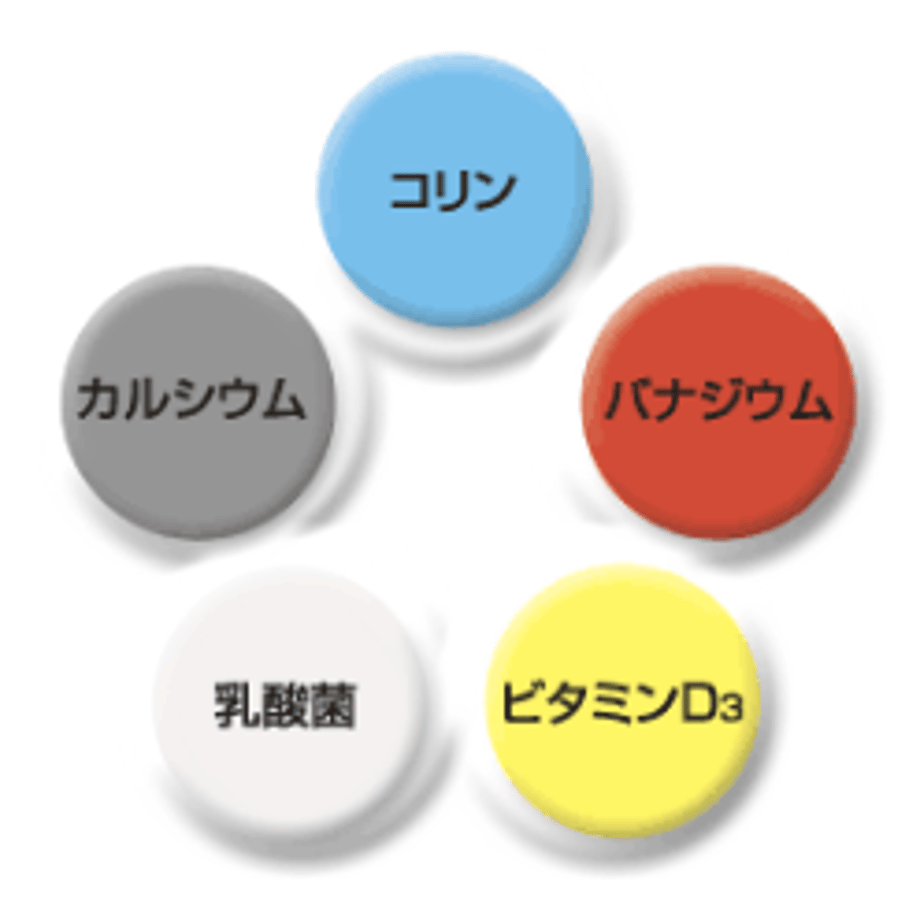 645490afe99ff901c2ed58d2